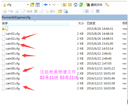 新建 DOCX 文档0.png